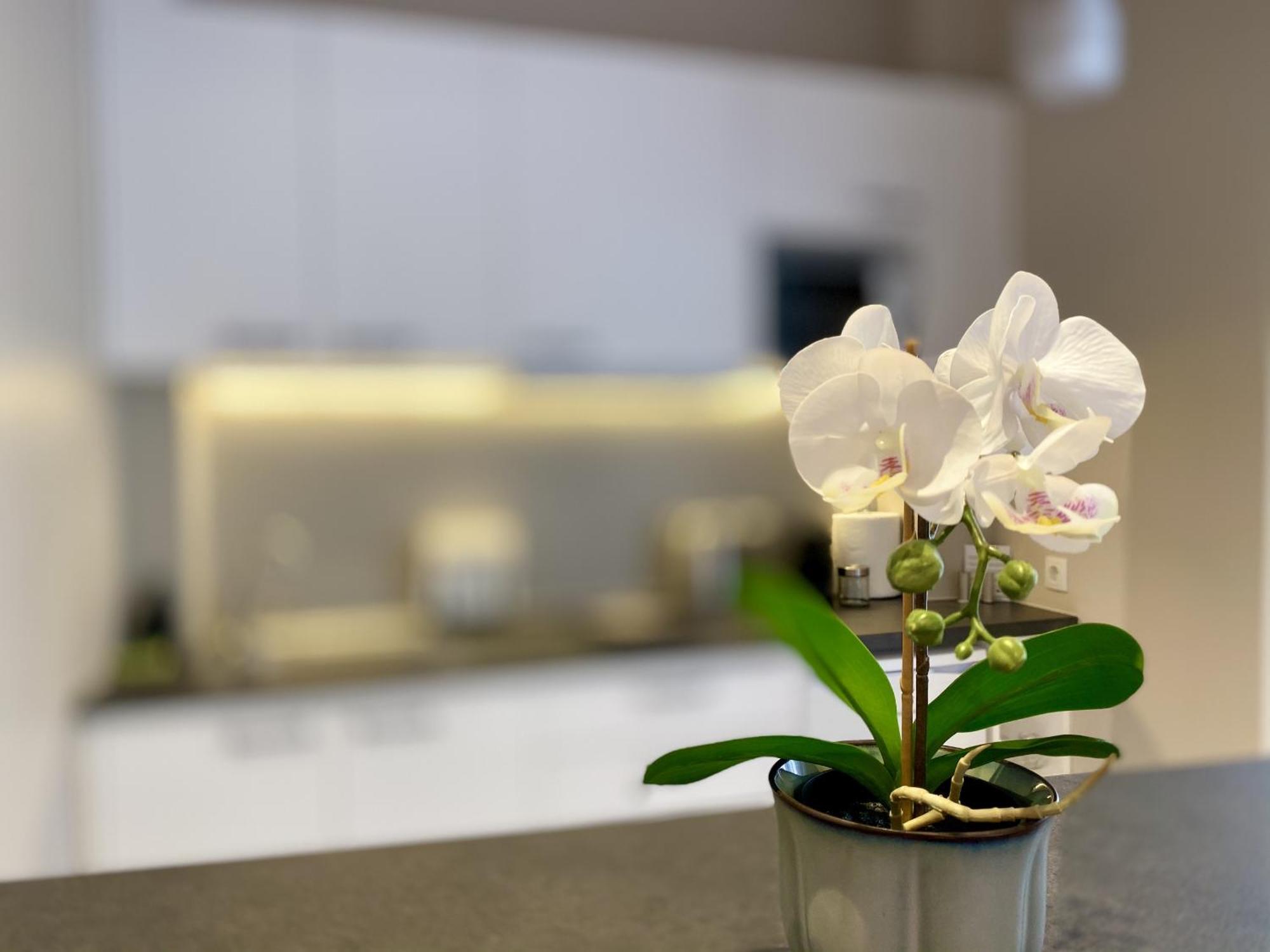 Luxury Studio In Historical Center, Syntagma-Plaka アテネ エクステリア 写真